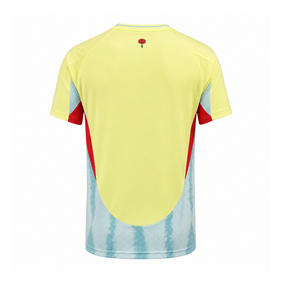 Spain 2024 Away Kit back view
