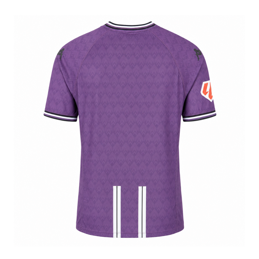 Real Valladolid CF 2024/25 Home Kit