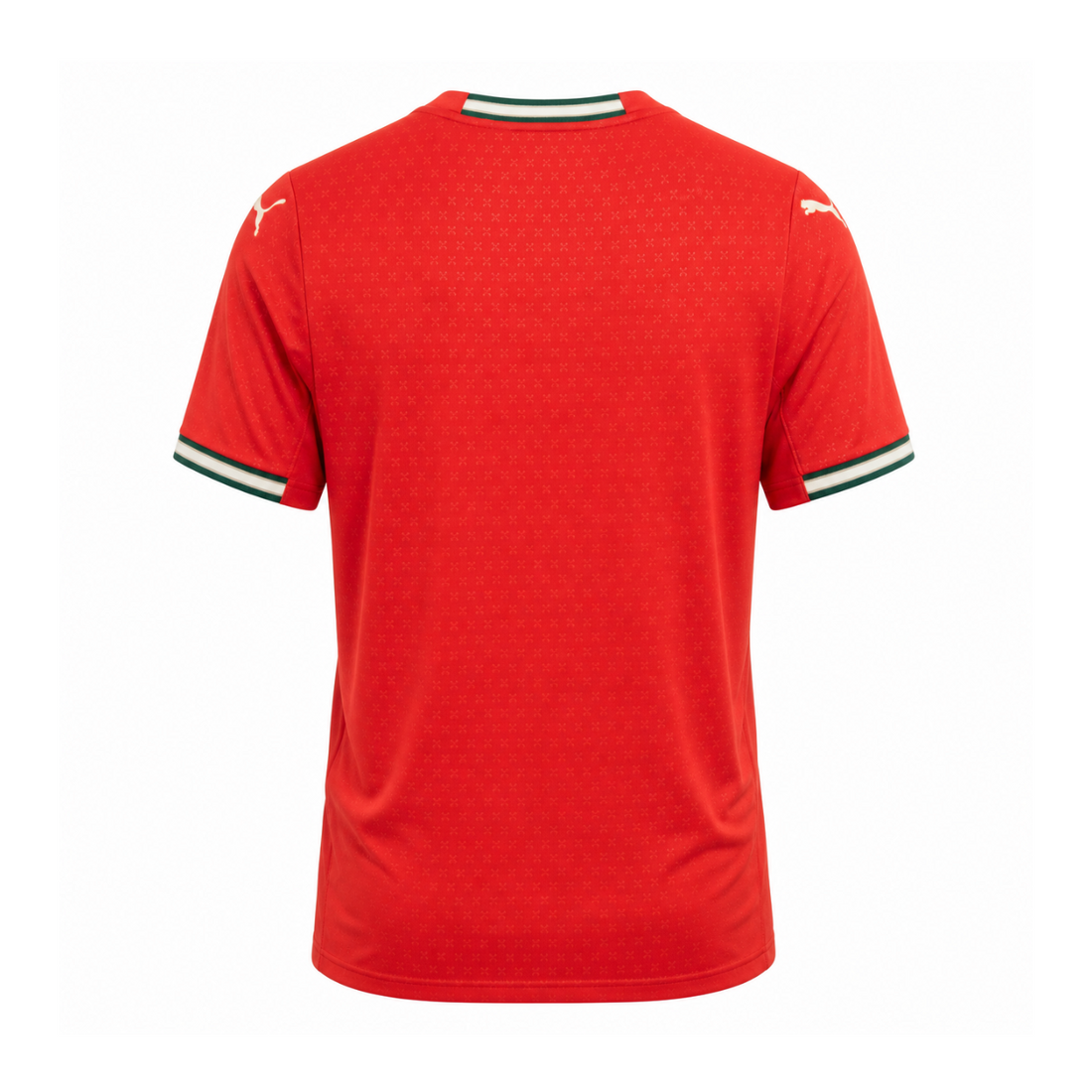 Portugal 2025 Home Kit back view
