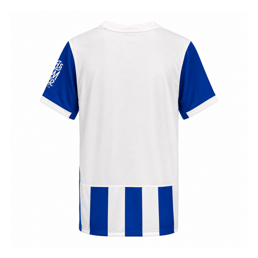 Brighton & Hove Albion FC 2025/26 Home Kit