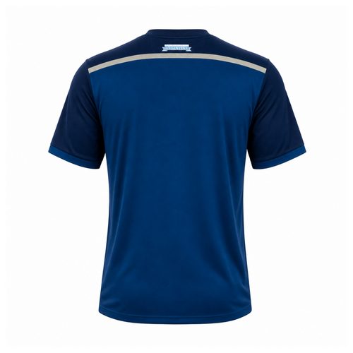Argentina 2014 Away Kit back view