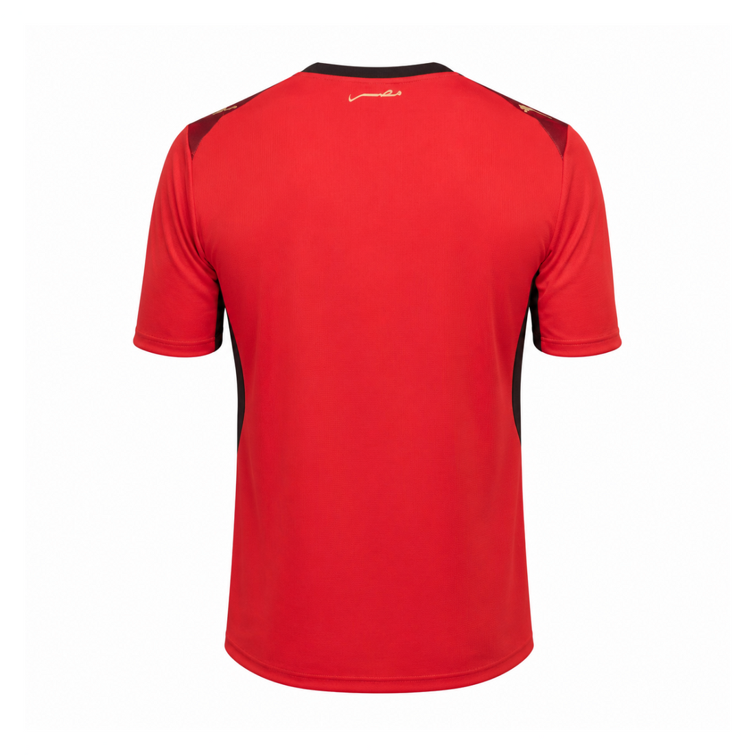 Egypt 2026 Home Kit product image 2