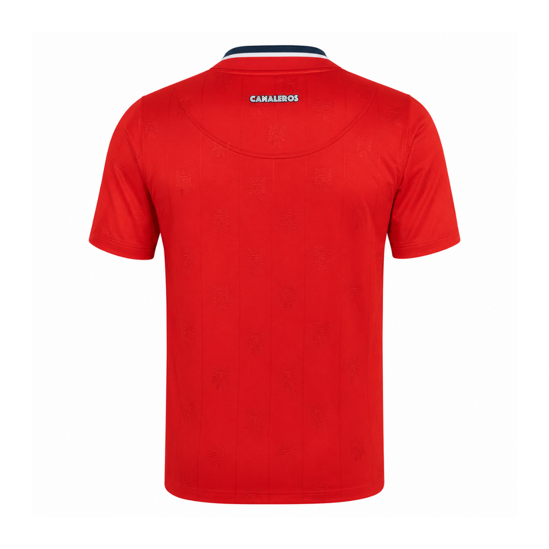 Panama 2026 Home Kit product image 2