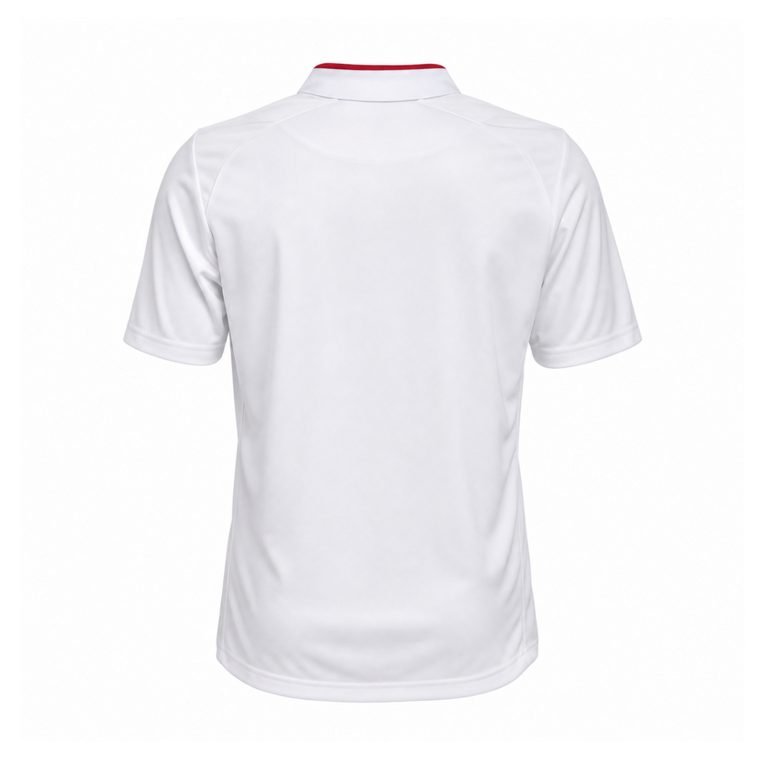 England 2012 Home Kit back view