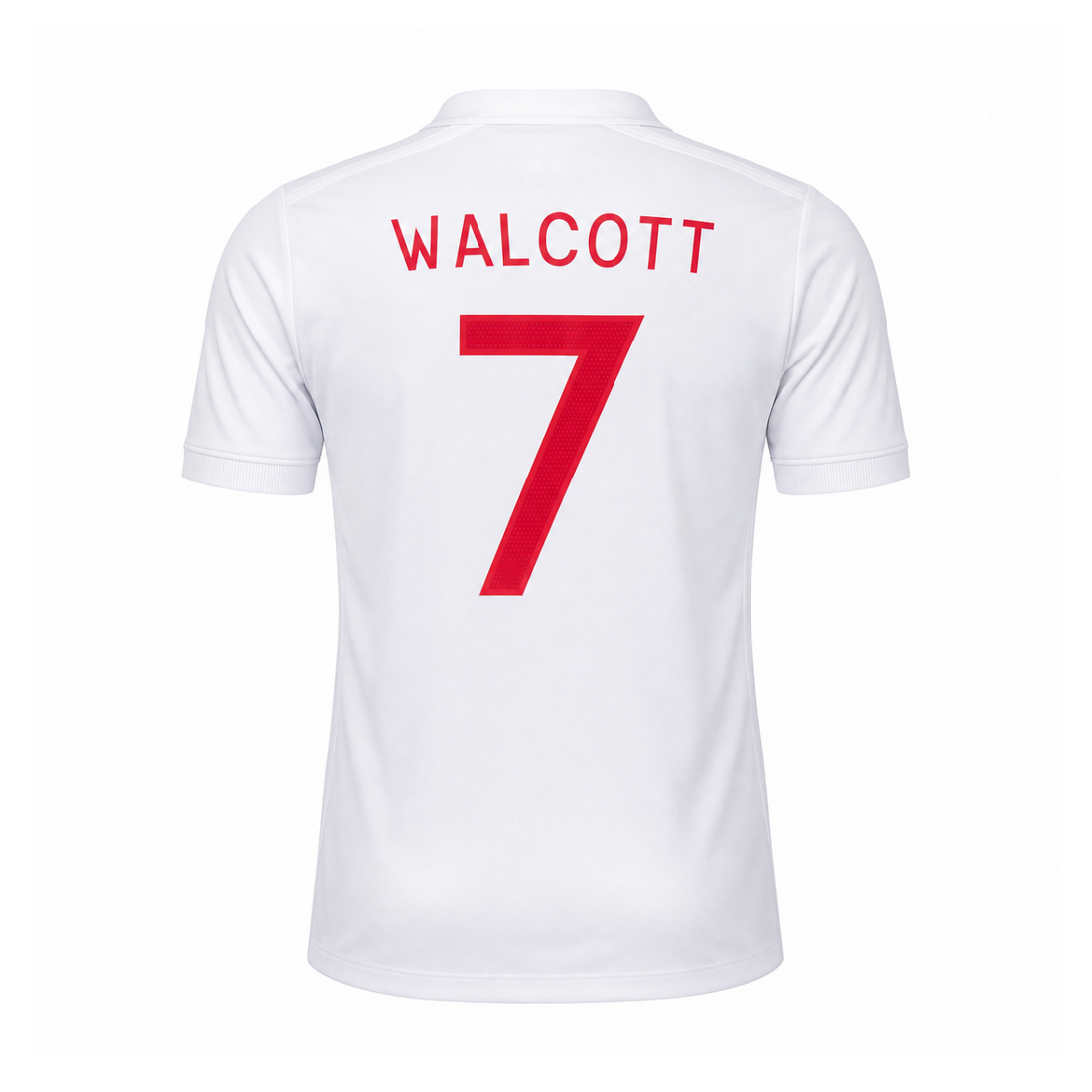 England 2010 Home Kit back view