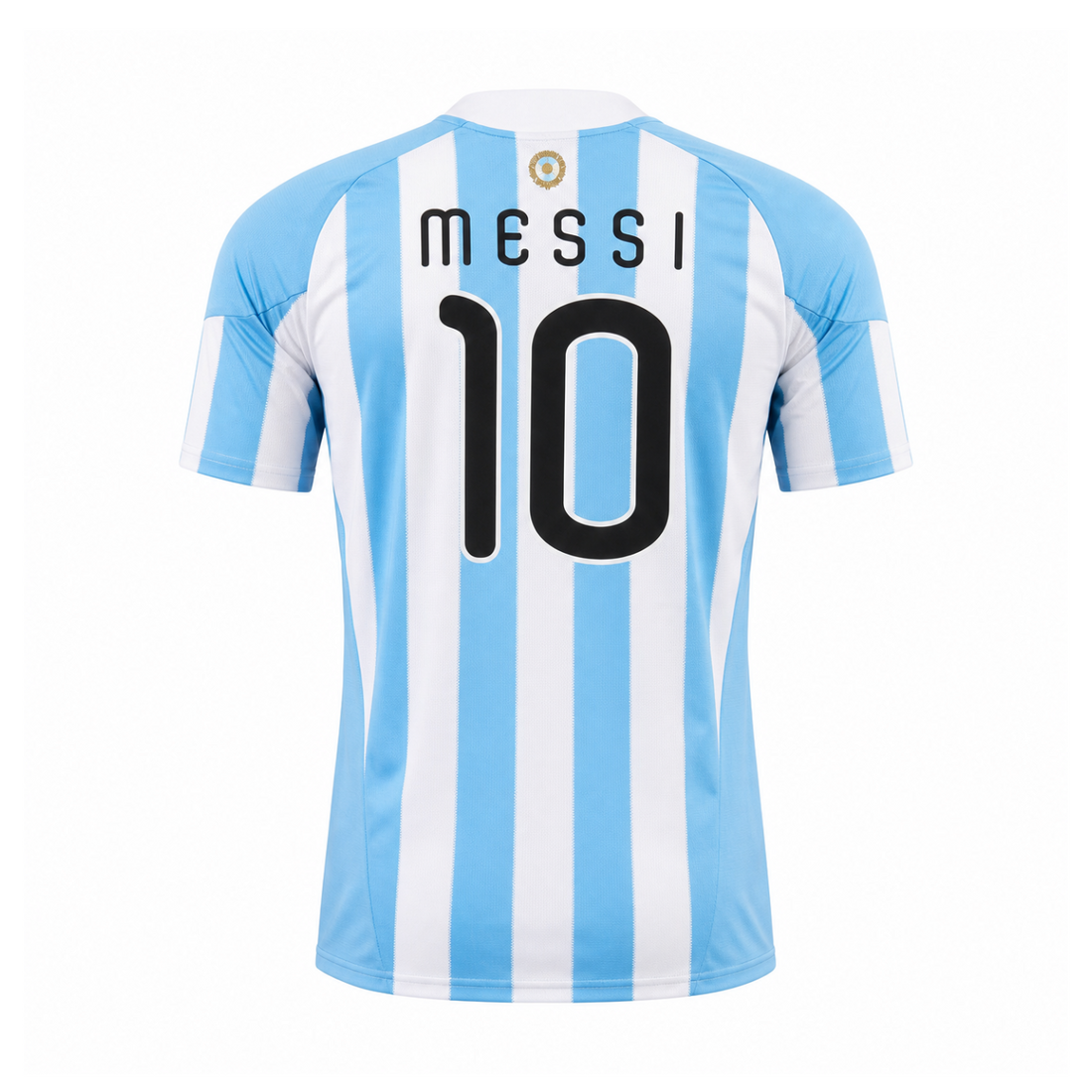 Argentina 2010 Home Kit back view