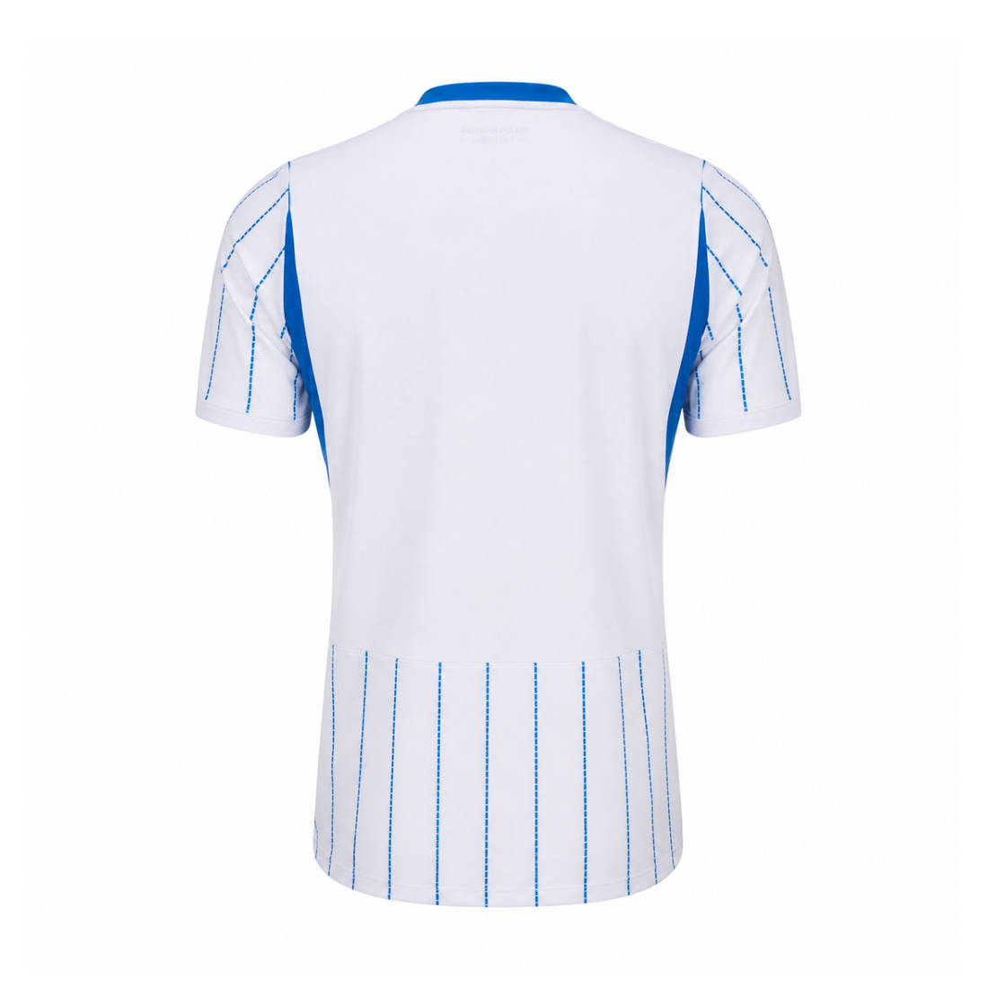 Brighton & Hove Albion FC 2026/27 Away Kit