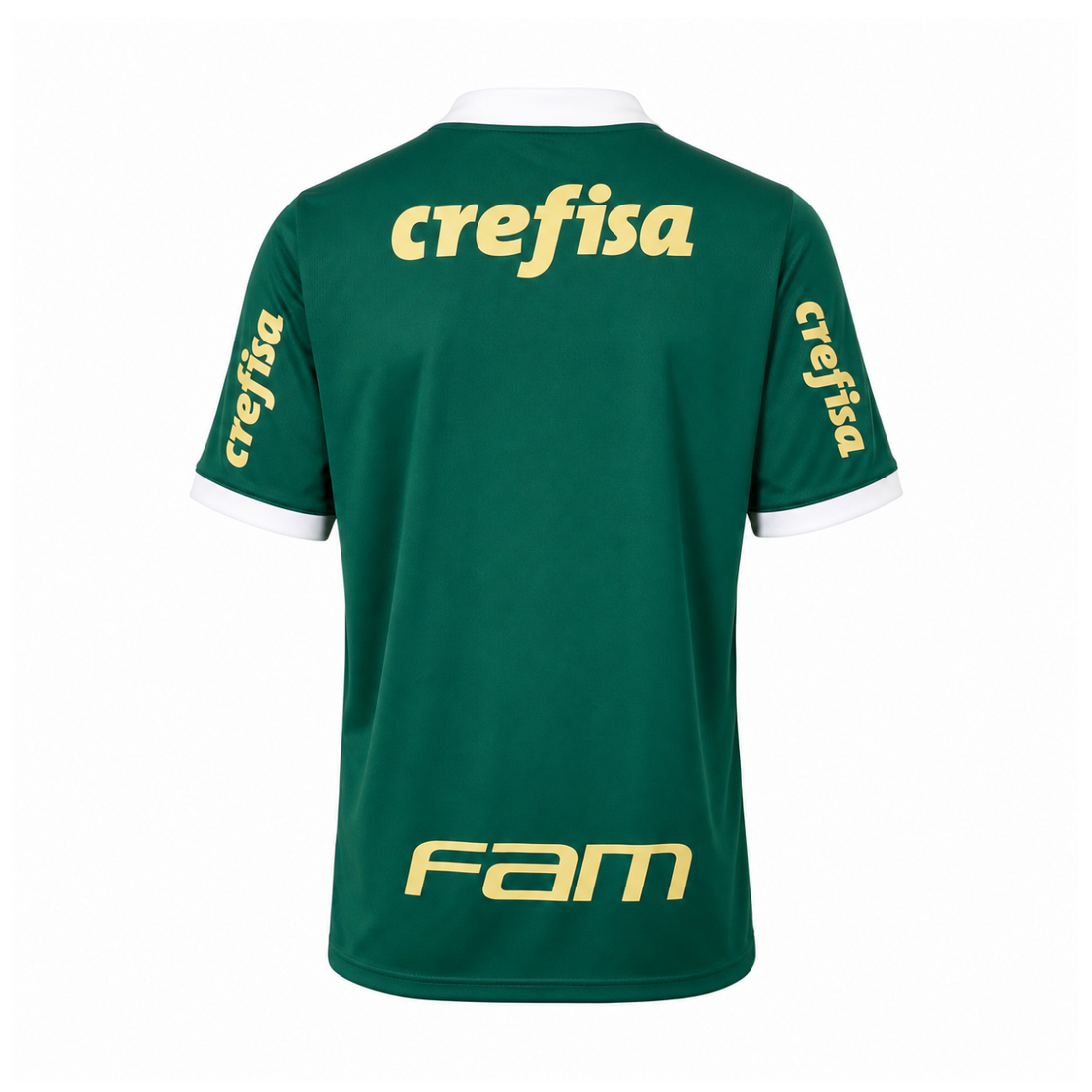 SE Palmeiras 2024 Home Kit