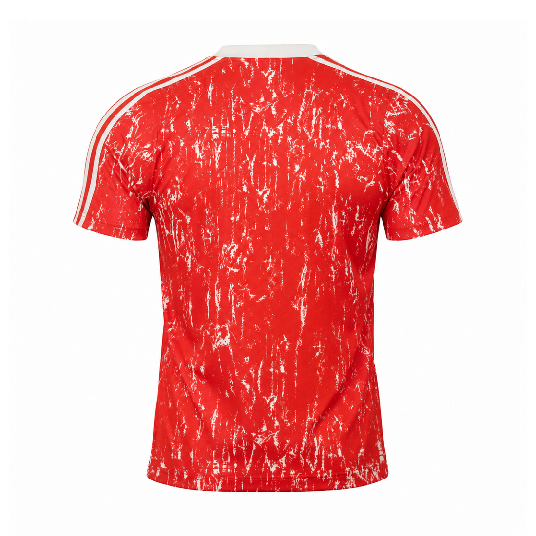 Soviet Union (USSR) 1989 Home Kit back view